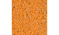 MIYUKI Delica 11/0 anneau...