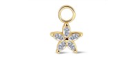 Pendentif fleur zirconites...