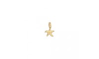Mini pendentif étoile de...