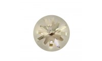 Sea Urchin Round Stone PF...