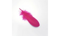 Stylo 8x3cm. Fuchsia