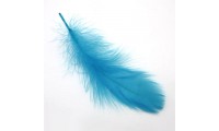 Plume 15x4,5cm. Bleu Turquoise