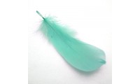 Plume 15x4,5cm. Vert Turquoise