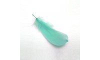 Stylo 8x3cm. Vert Turquoise