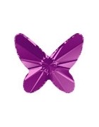 Papillon